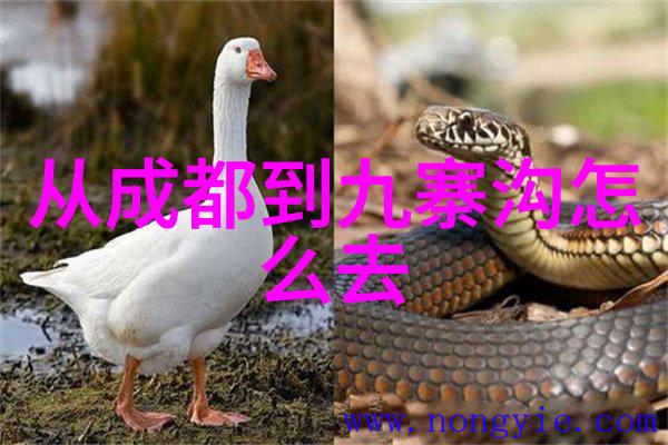 云南美景尽在眼前附近酒店住宿查询让你的旅程更加舒适