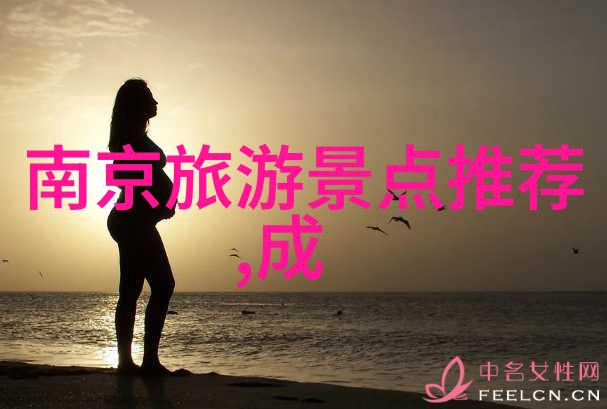 中国美食盛宴品味传统与创新的风味之冠