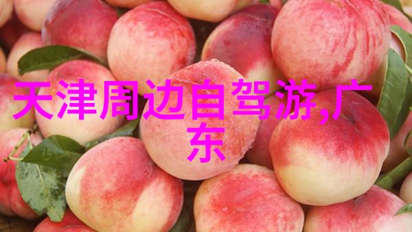 探索小普陀的古韵与现代一场穿越历史的文化之旅