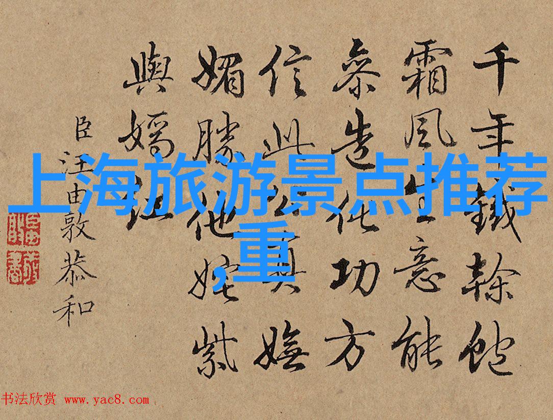 省力自行车让你在骑行中享受懒惰的艺术