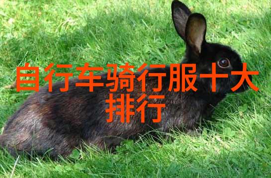 贵州旅游自由行最佳线路探索贵州的美丽风光