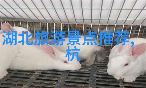影城大亨笔趣阁我在电影的海洋里漂泊从一部部经典到未知角落的探险
