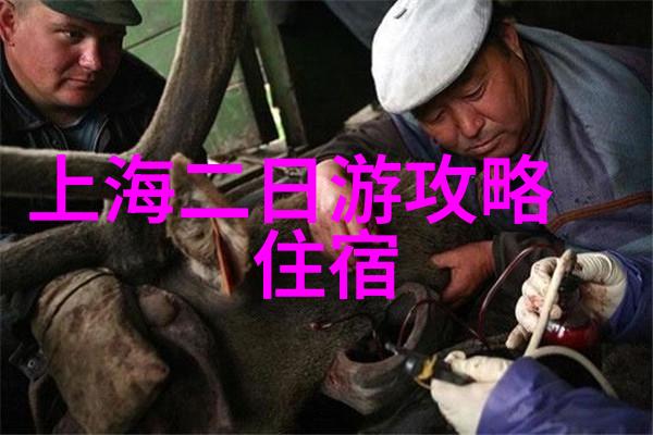 骑自行车的收获与感受康塔多2015年10月14日1714