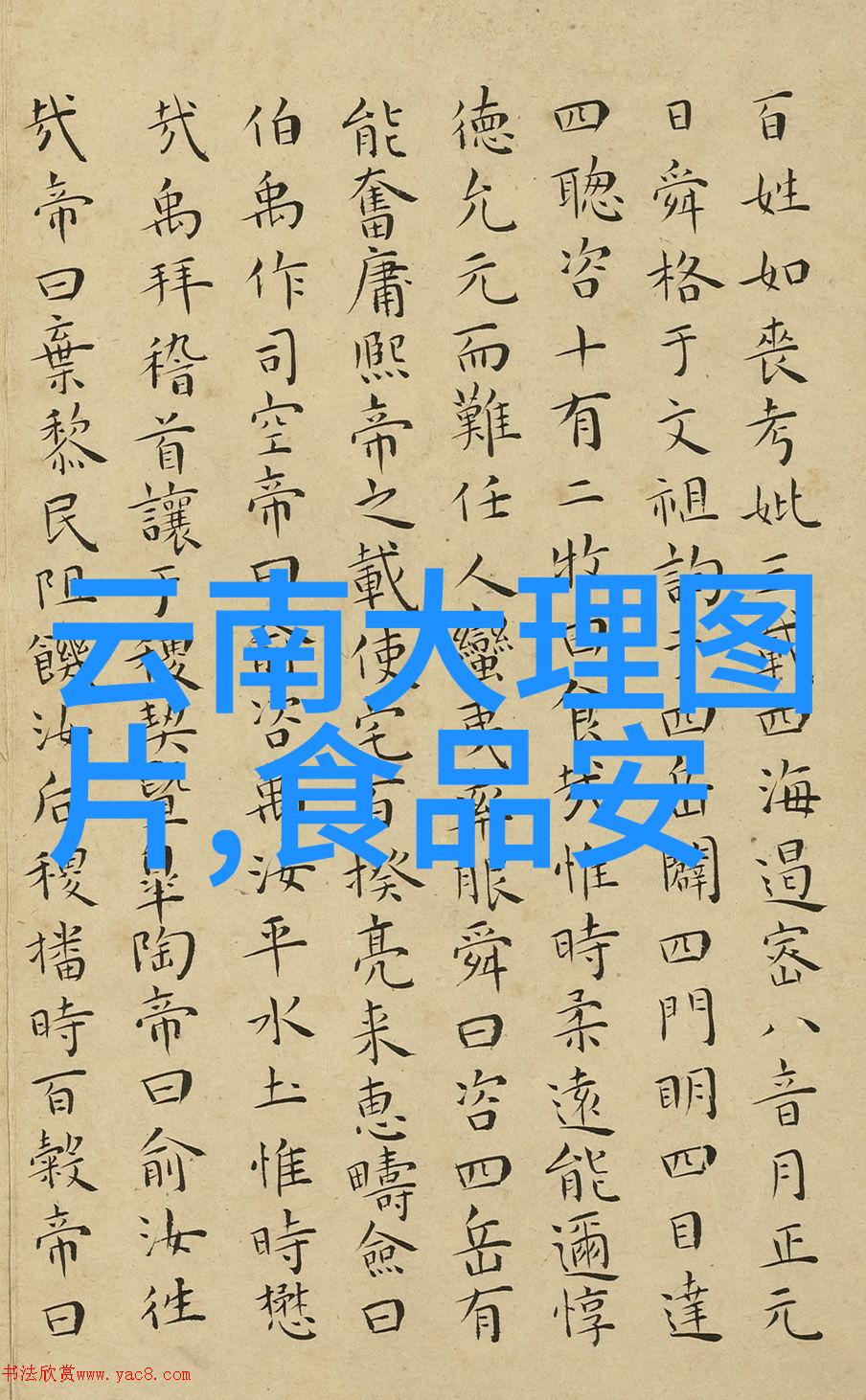 四下作文游文字里的遥望