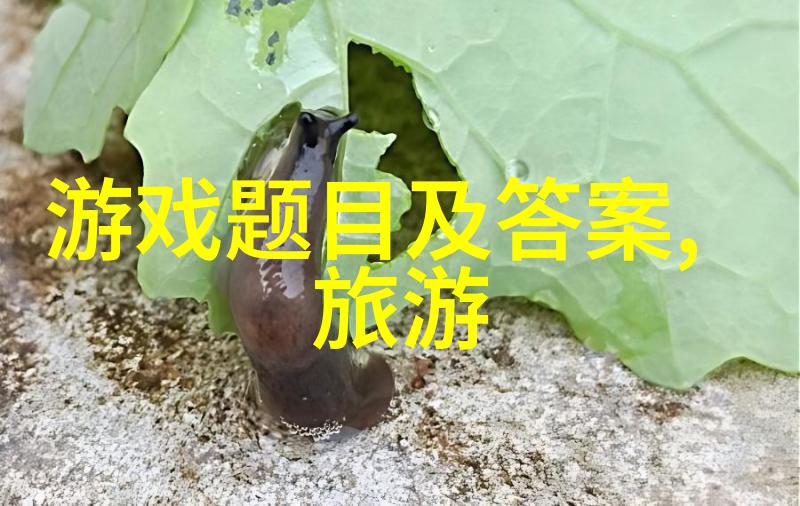 海上嘉年华三亚国际航展的魅力与挑战