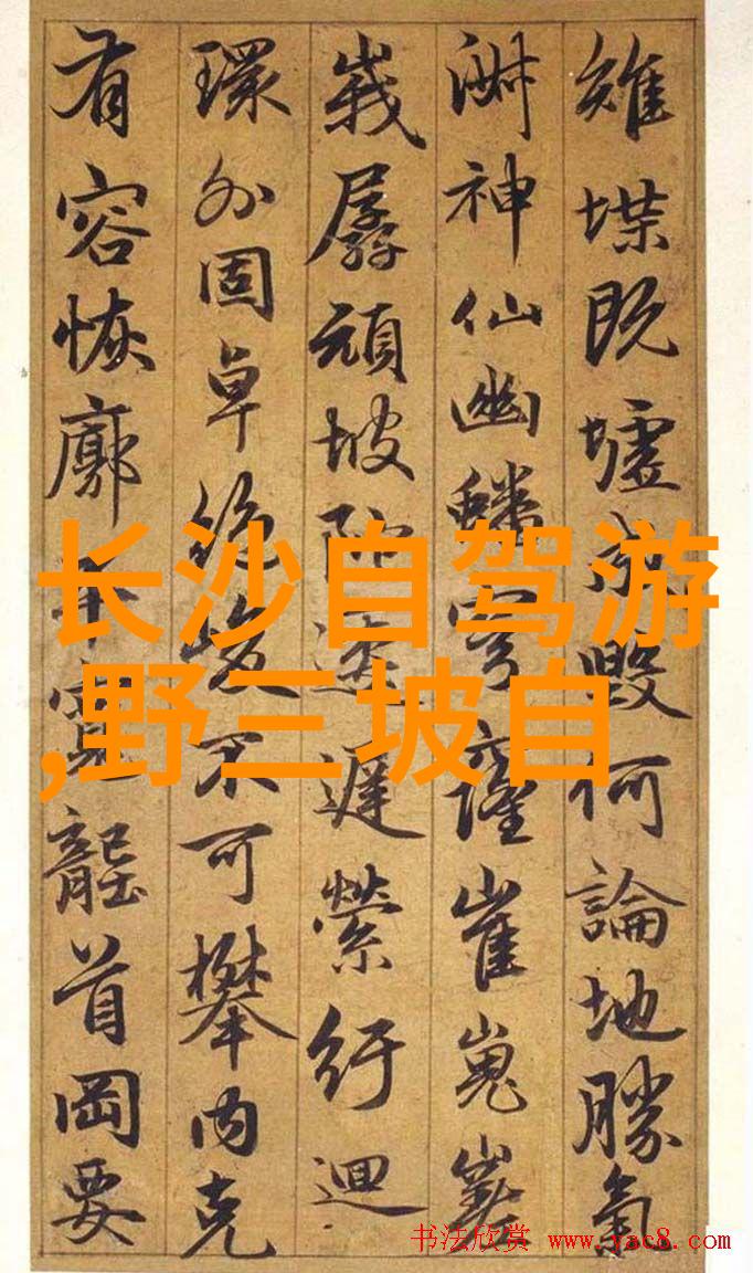 骑行和跑步哪个更锻炼身体 - 两者对比速度与耐力之争