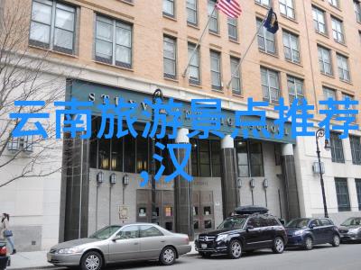 疫情防控新政动态清零战略与生活方式变化