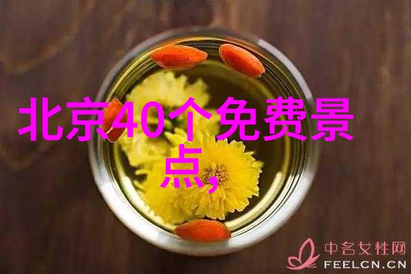 三亚房车旅行需要准备哪些必备物品