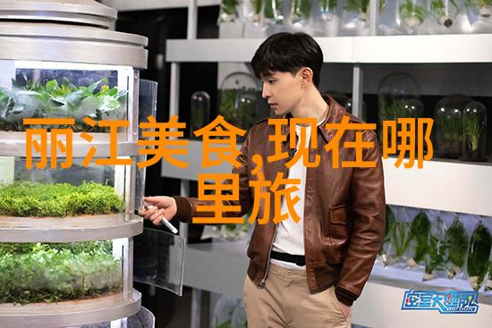 梵净山自驾游攻略云端探秘的旅途