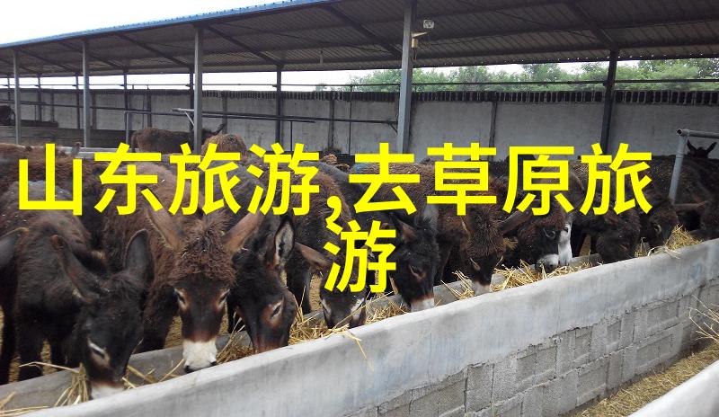 重庆玛雅海滩水公园于6月10日恢复开放