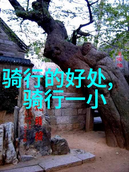 黄山农家乐住宿攻略寻找那份田园风情与自然之美的完美结合