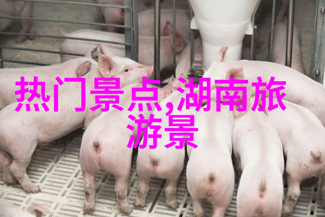 青岛自驾游碧波荡漾中的遥望梦想