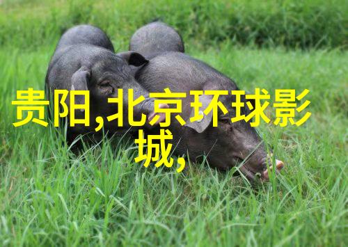 除了旅游景点其他文化体验又有哪些值得一看的地方吗