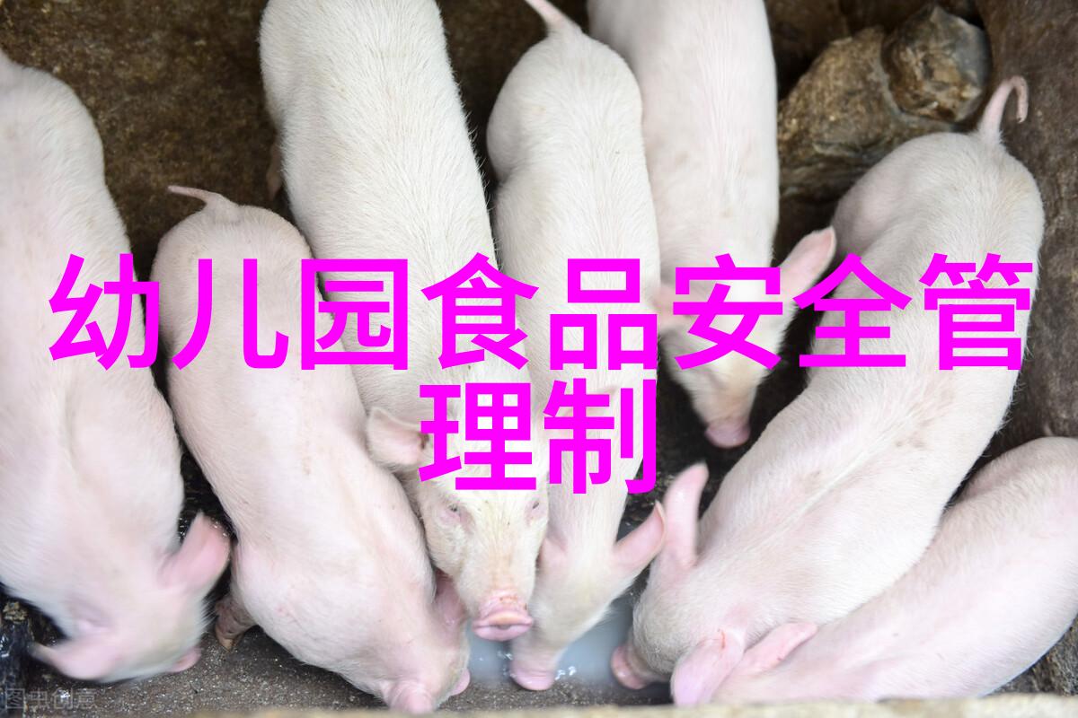 上海旅游住哪最方便学历真的那么重要吗在维也纳酒店的自然风光中寻找答案