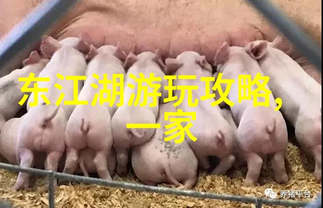 一面亲上边一面膜下边的精彩视频-双重奇遇亲密接触与隐藏美丽的双重奏鸣