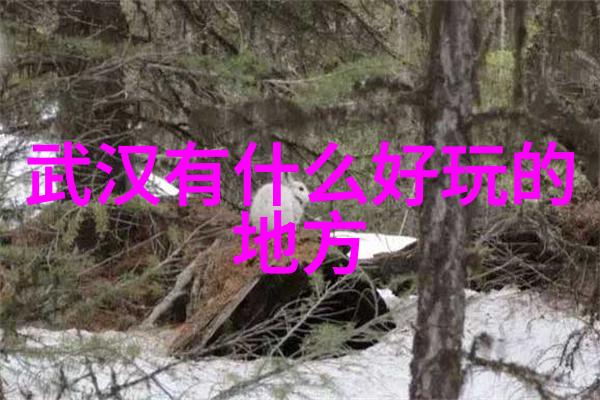 野性探索2023年户外拓展项目之旅