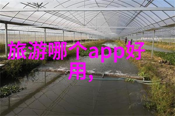 如何利用即兴游戏提升成人户外拓展训练的互动性和参与感