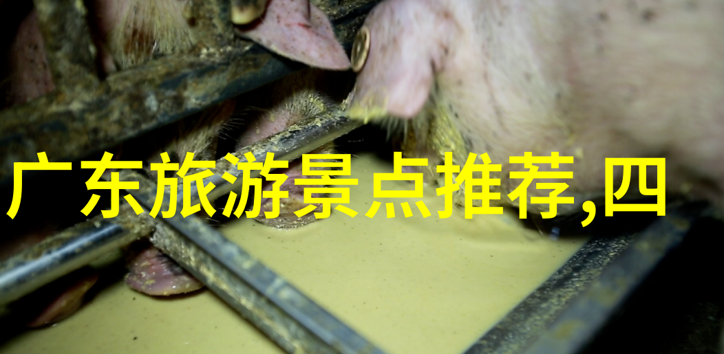 远方的旅程自驾游探秘记