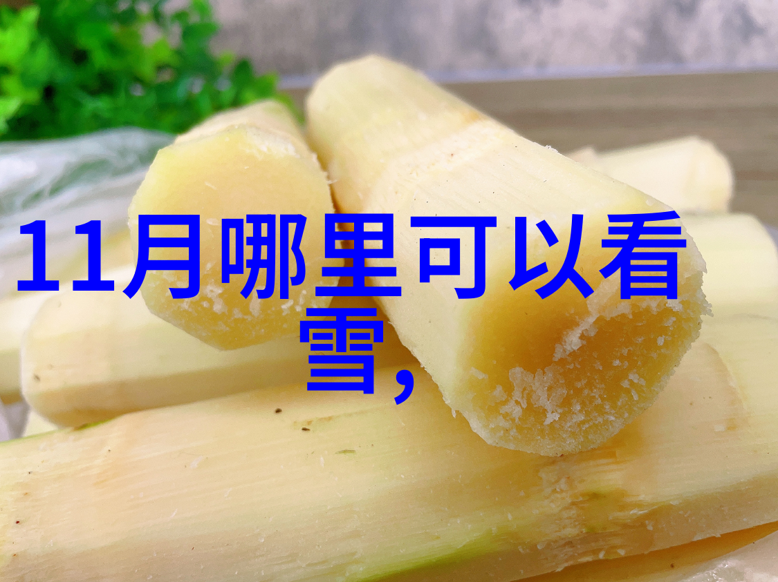 在追寻长春历史足迹时哪些地标绝对不能错过呢