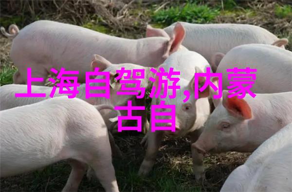 亲近自然肇庆周边度假村推荐