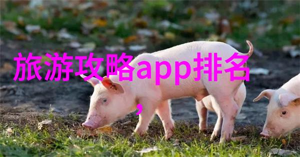 厦门自驾游攻略我的小伙伴们让我们一起开启厦门这座美丽岛城的探险之旅吧