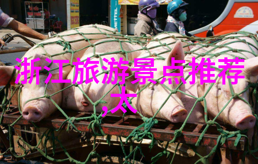深入了解台湾原住民文化体验