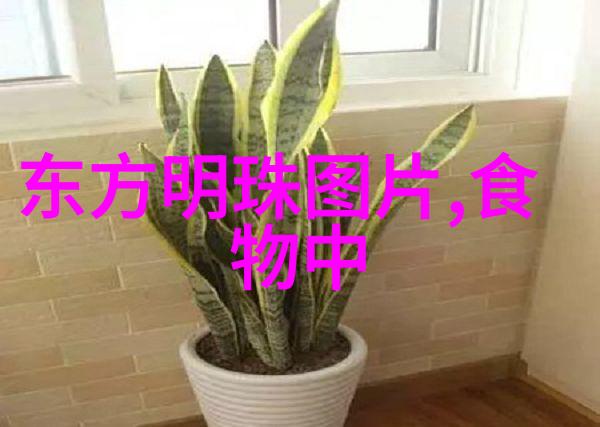 如何避免在成都周边自驾时遇到拥堵交通