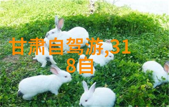 南京美食盛宴品味本土风味南京小笼包盐水鸭秦淮河鲜鱼汤