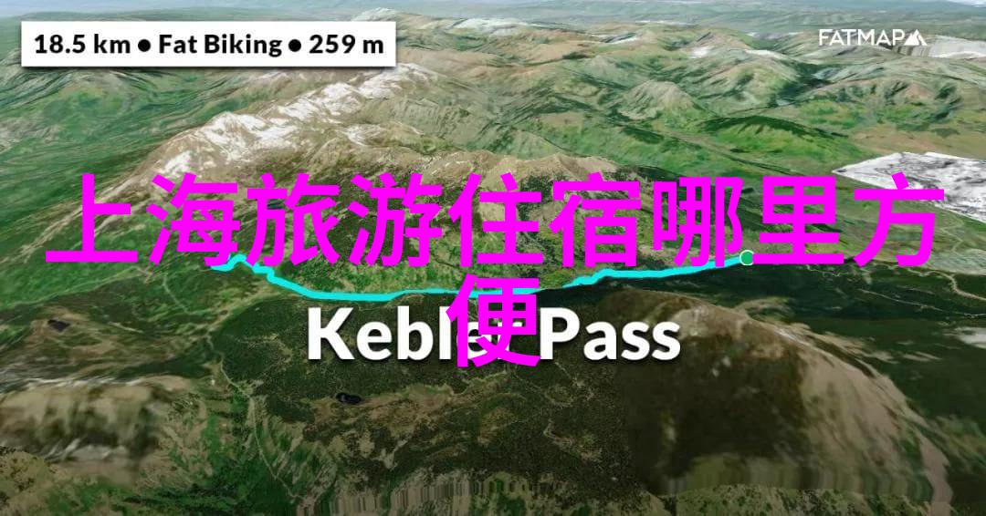 探秘奇境初二的五百字冒险