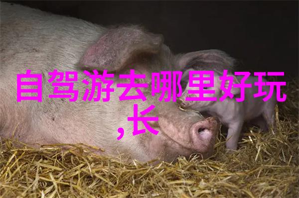 驴友旅游官网探索世界奇迹共享旅行乐趣