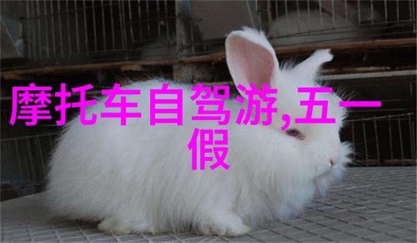 云南美食之旅云南省内那些小吃和特色菜肴值得一试