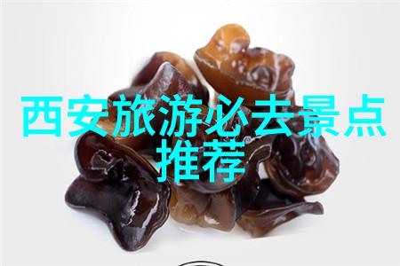 旅游报价-探秘旅行费用揭秘旅游报价背后的故事