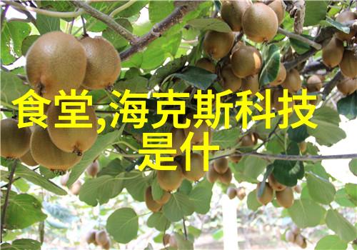 上海住宿要求白玉兰成功C位出道的关键所在