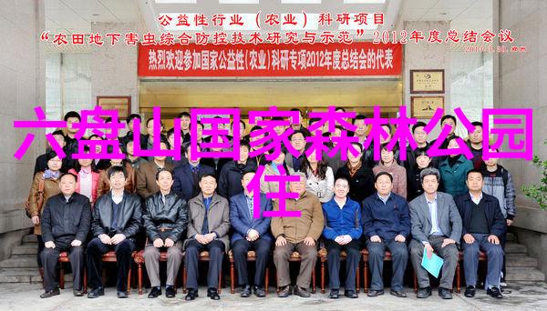 杭州旅游攻略必去景点推荐西湖雷峰塔苏堤春晓龙井茶园灵隐寺