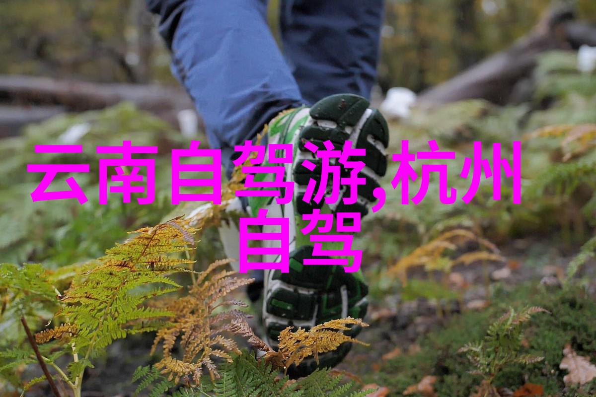 疫情期间重慶政府对于企业援助和失业补贴的具体实施情况了解多少