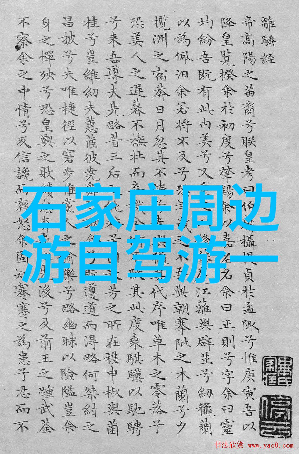 电子健康码时代来临未来国际旅行将如何运作