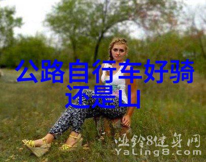 武汉周边地区自驾游研究探索文化遗产与自然景观的互动机制