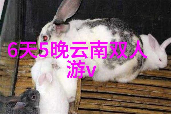 美国黄石国家公园是如何形成的它又包含了哪些自然奇观