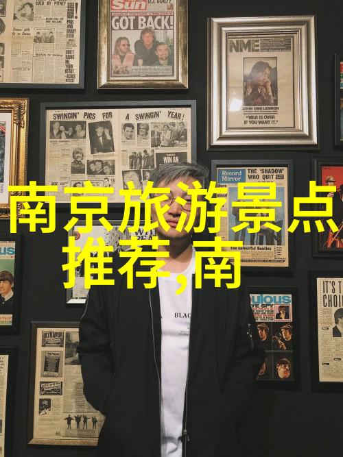 隐秘的旅客中国旅游数据网的未解之谜