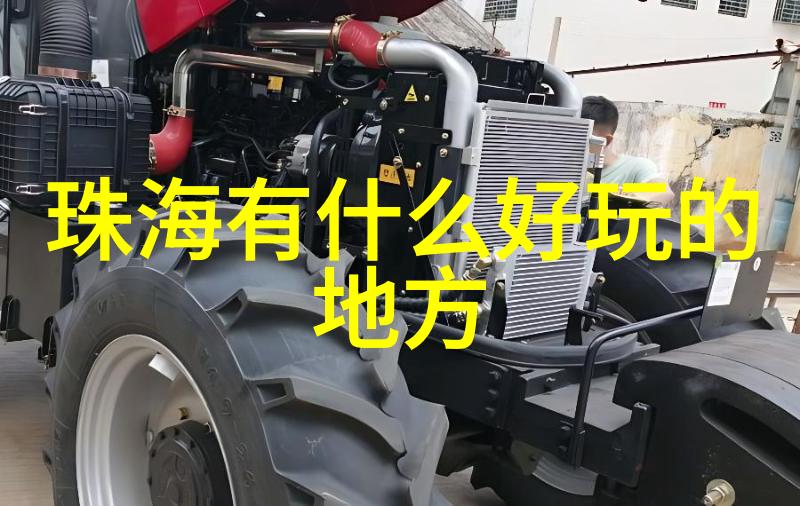 宁德海洋世界里的奇妙生物有哪些神秘故事待发现