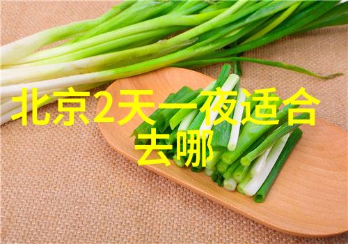 鹤壁留学梦澳洲之路与中介选择的智慧探索 - 新东方与启德哪家强