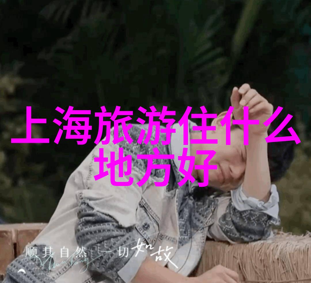云雾缭绕的张家界秘境探索天然奇观的自由行指南