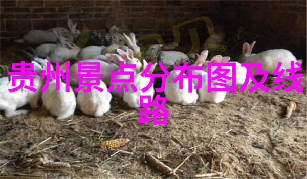 在公车上被一个接一个挤压的日子