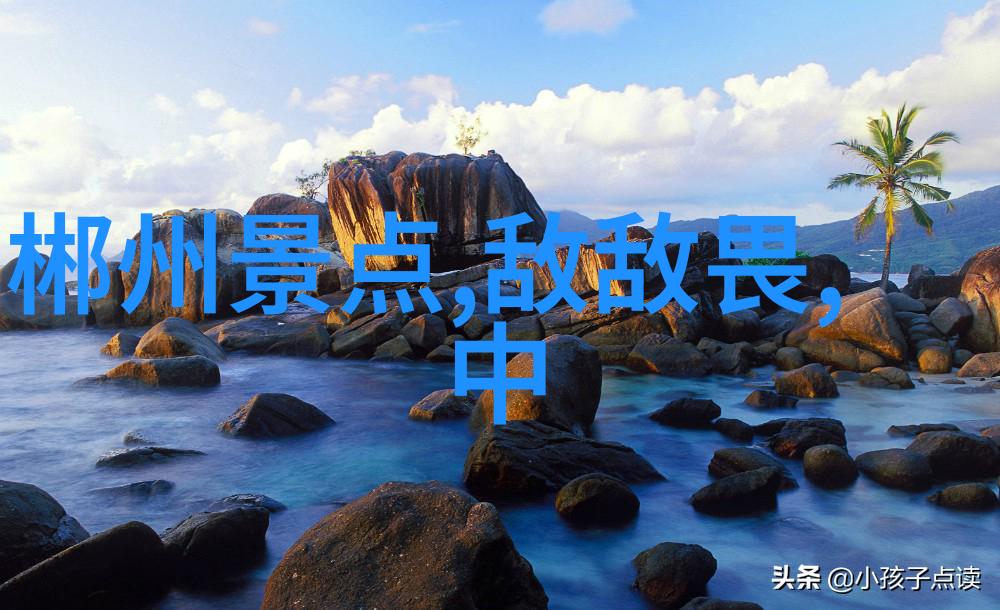 每日26公里征程体验骑行如何塑造身体与提升生活质量