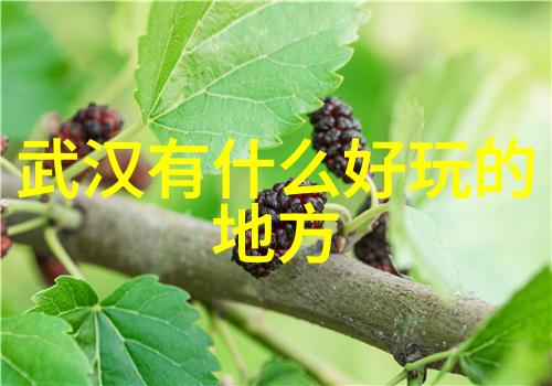 饮食游记沿着故宫墙脚走进京城小吃世界