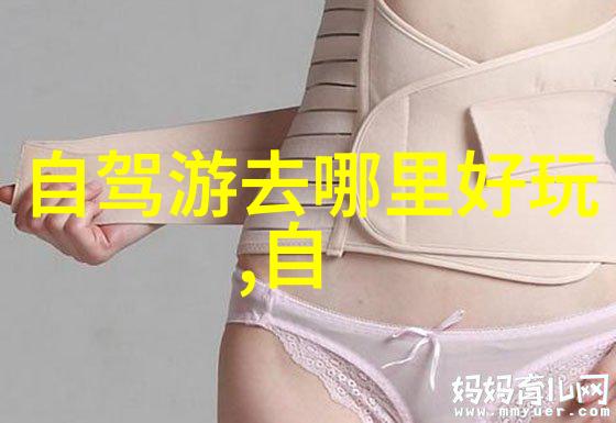 家常味道的传承探索厨房小红书中的经典菜谱