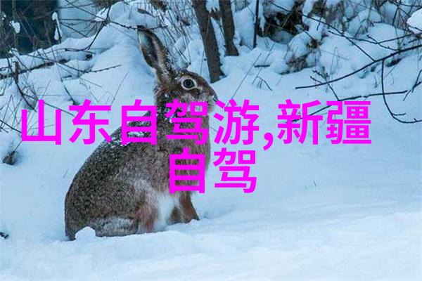 探秘中国背后的故事与未来的魅力