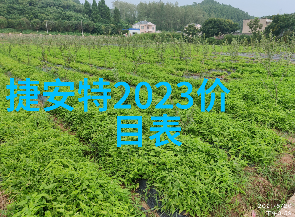 南京自驾游探索城市景观与文化遗产的交响篇章