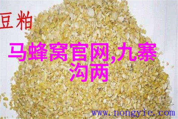 沈阳新世界博览馆之旅自然景观游览推荐