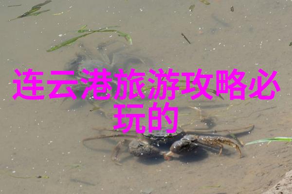 探秘美丽岛屿寻宝者的心跳旅途